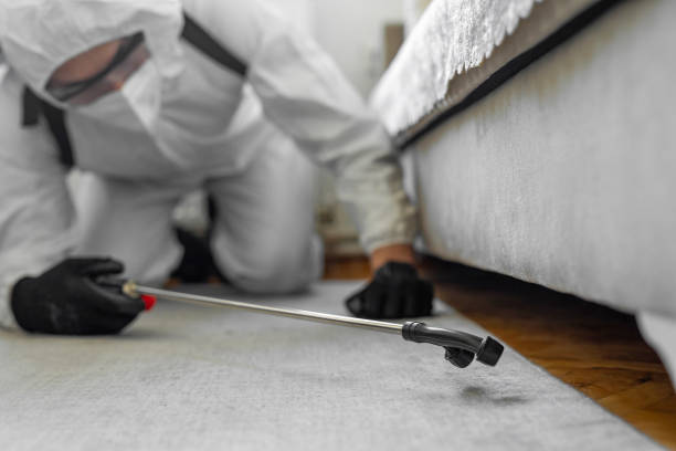 Professional Bed Bug Control technician working in Towamensing Trails, PA