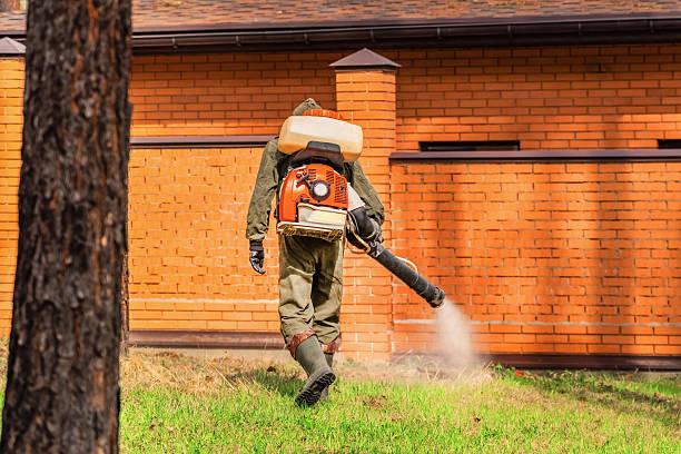 Trusted Cockroach Control service in Towamensing Trails, PA - Nex Pest Control